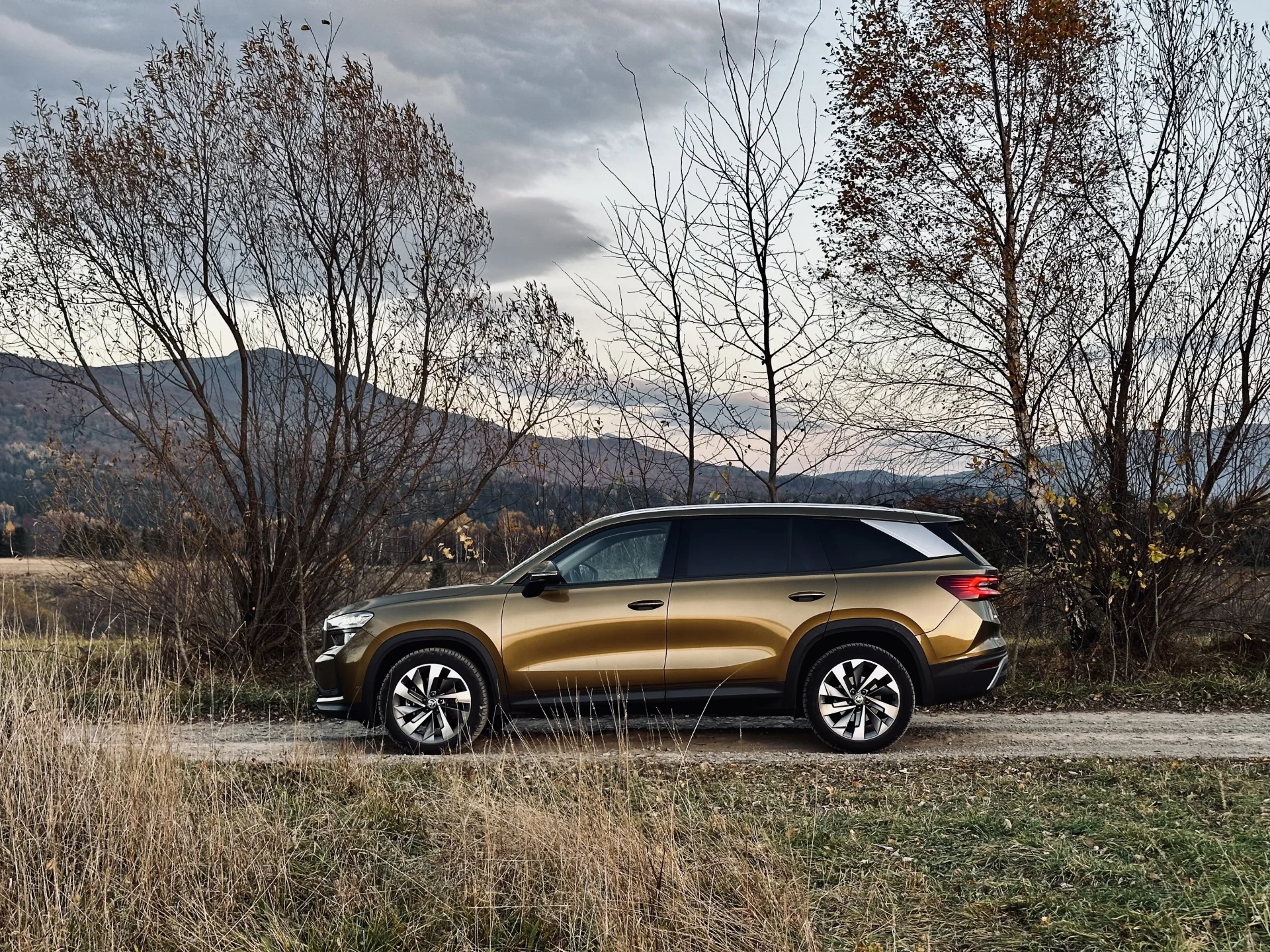 Nowa Skoda Kodiaq.