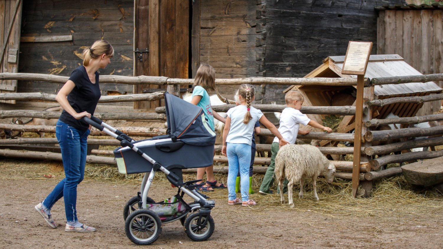 Podlaski Bon Turystyczny.