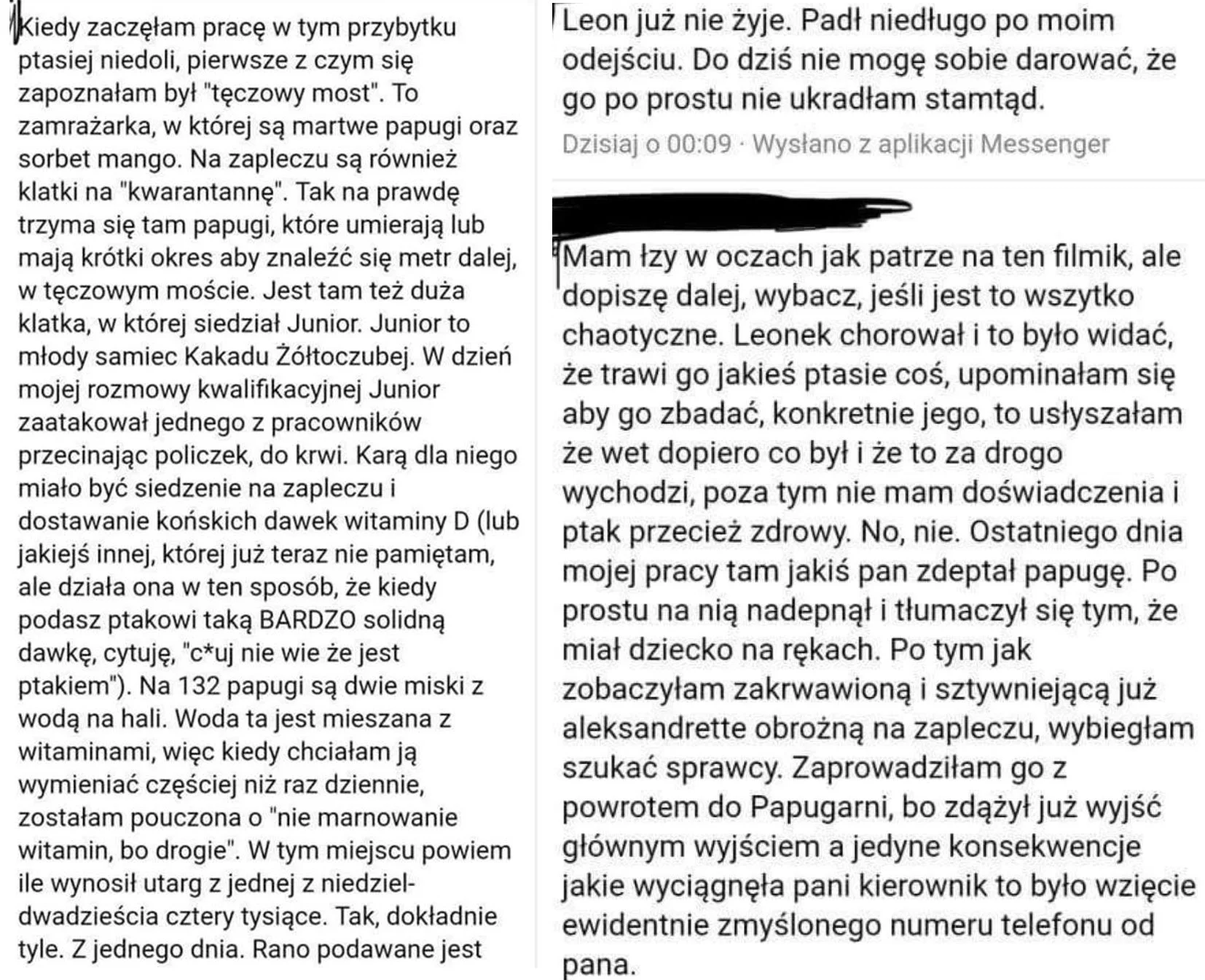 Fragment relacji byłej pracownicy papugarnii Carmen