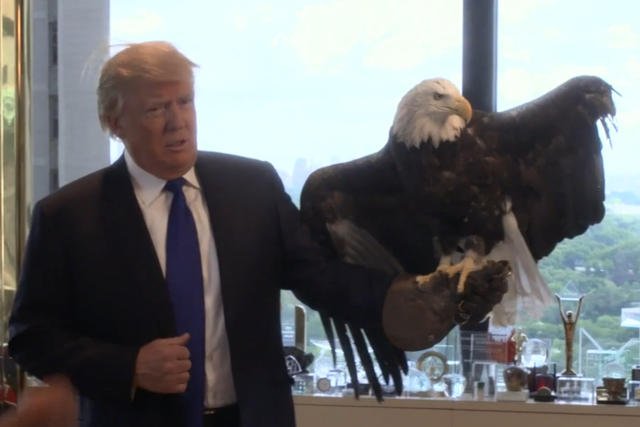 Orzeł nie miał ochoty na sesję z Trumpem.