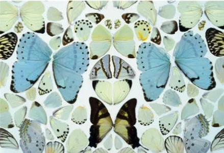 Damien Hirst, Tate Gallery