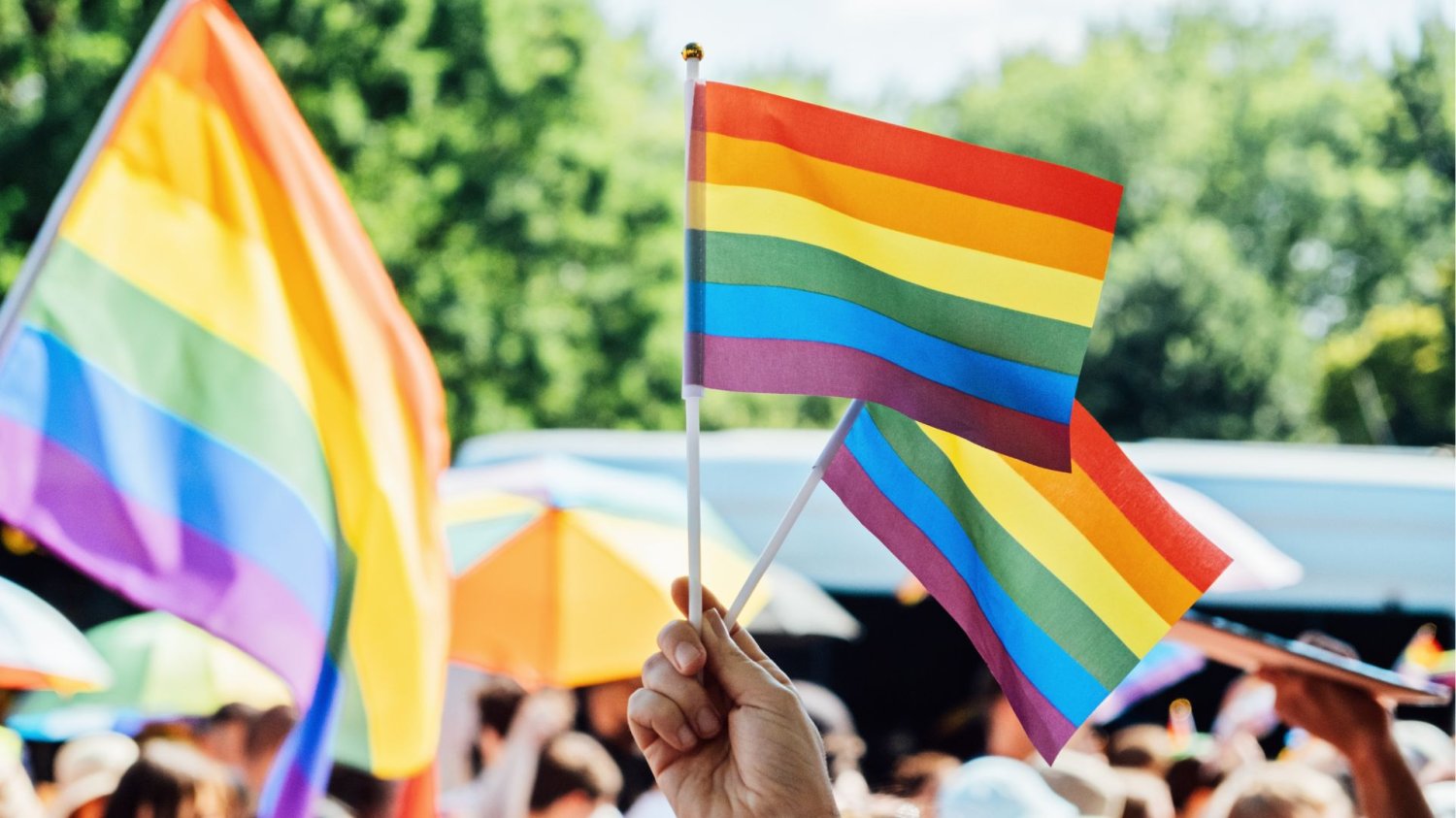 Przełom w sprawie małżeństw jednopłciowych. Sąd podjął decyzję Flagi LGBTQ+ na paradzie równości