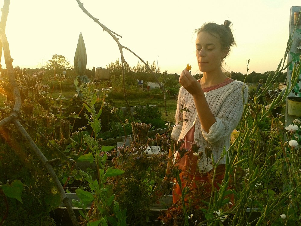 Ogrody na terenie lotniska Tempelhof