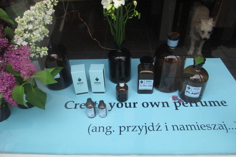 Już sama witryna Mo 61 wciąga do zabawy. Zachęciła nawet psa, który na pewno ma niezłego nosa!