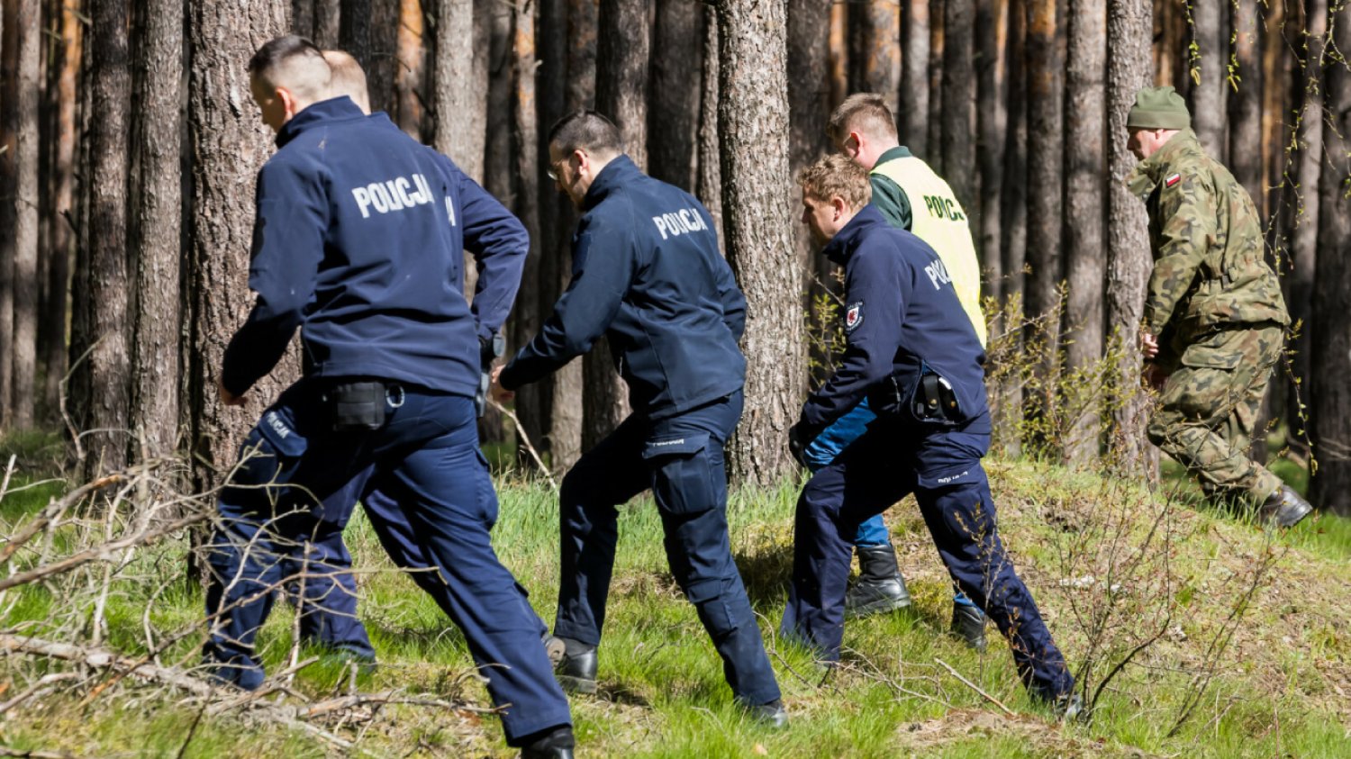 Bydgoszcz: Kto znalazł obiekt w lesie w Zamościu? Miał to być turysta