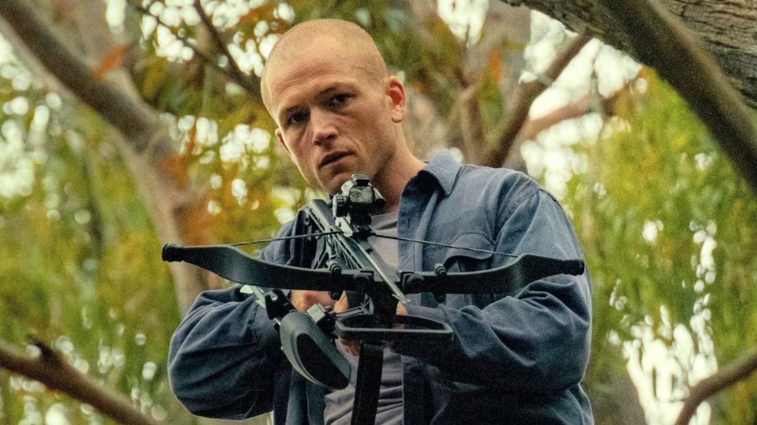 "Teściowie 3" pokonali "Alfę" Targon Egerton w "Alfa"