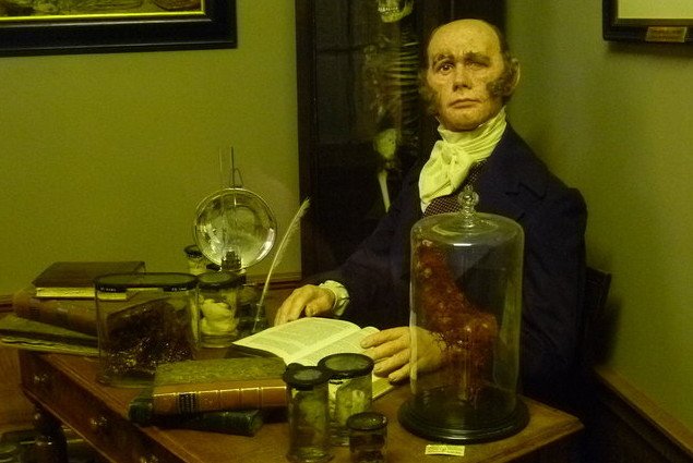 Portret Roberta Knoxa