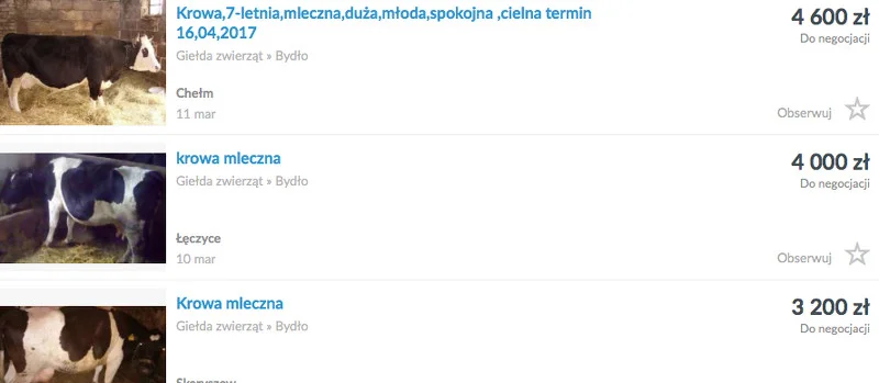 Co można kupić za 100 tys. na start.