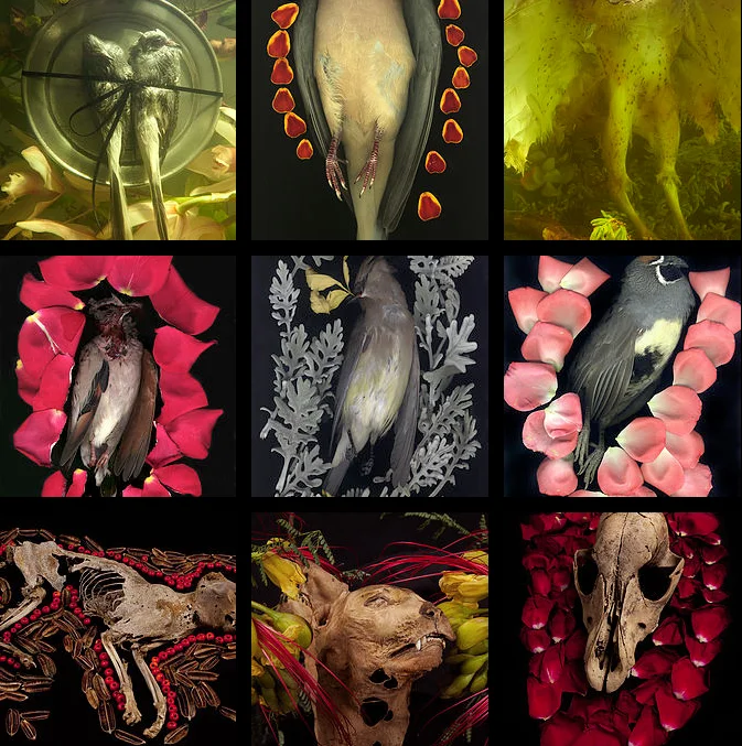"Memento Mori".