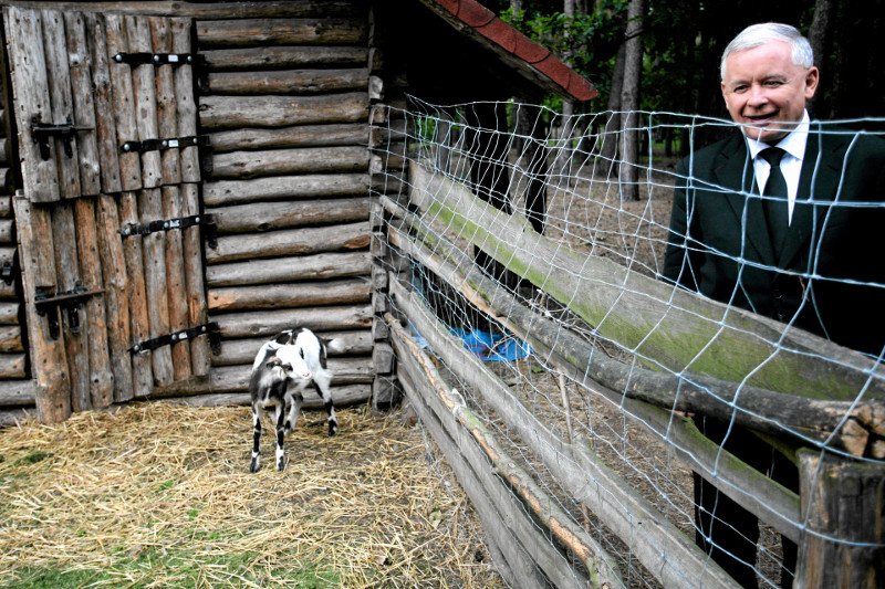 Rolnicy nie są zadowoleni z poczynań PiS-u – tak wynika z nowego sondażu IBRIS.