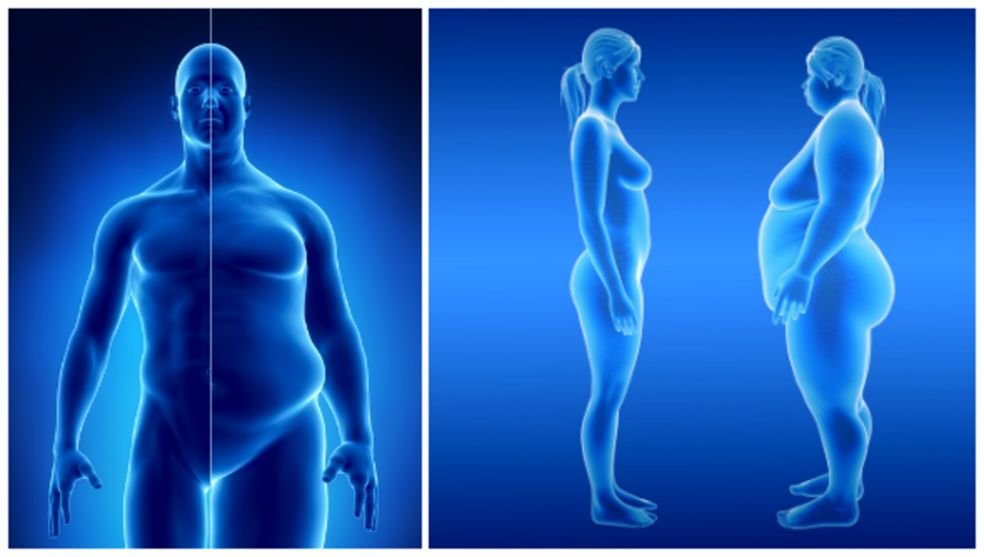 Naukowcy z Northwestern University w Chicago ogłosili nowe wyniki międzynarodowych badań, które mogą dokonać przełomu w leczeniu otyłości i nadwagi na świecie. Naukowcy z Northwestern University w Chicago ogłosili nowe wyniki międzynarodowych badań, które mogą dokonać przełomu w leczeniu otyłości i nadwagi na świecie.