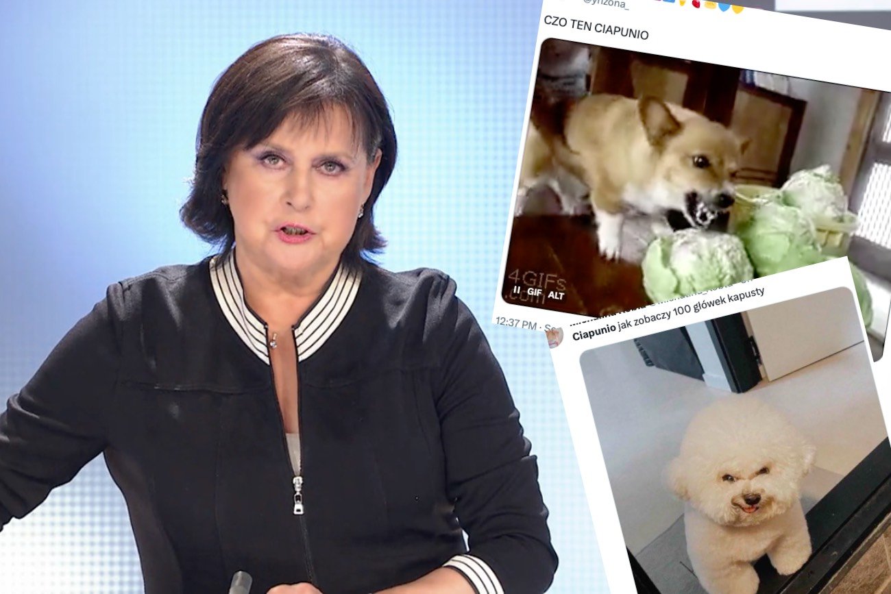 O co chodzi z Ciapuniem?