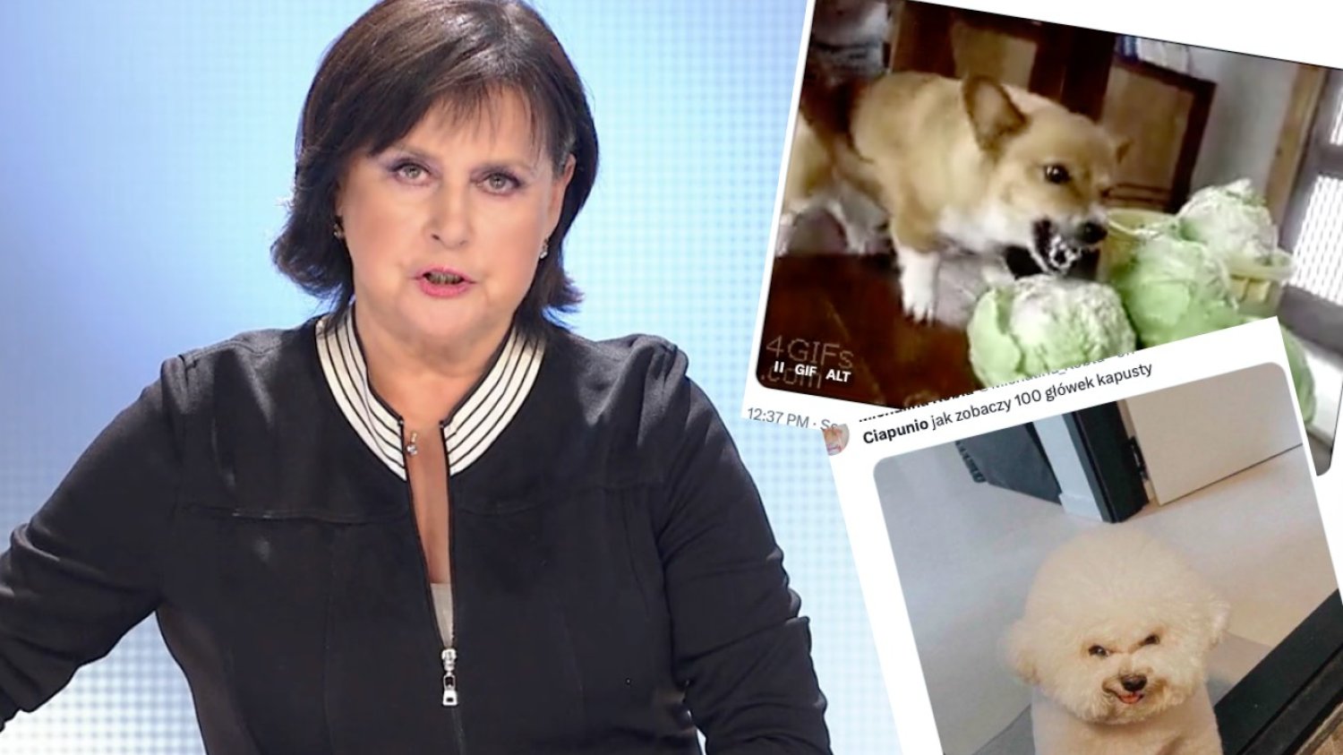 O co chodzi z Ciapuniem?