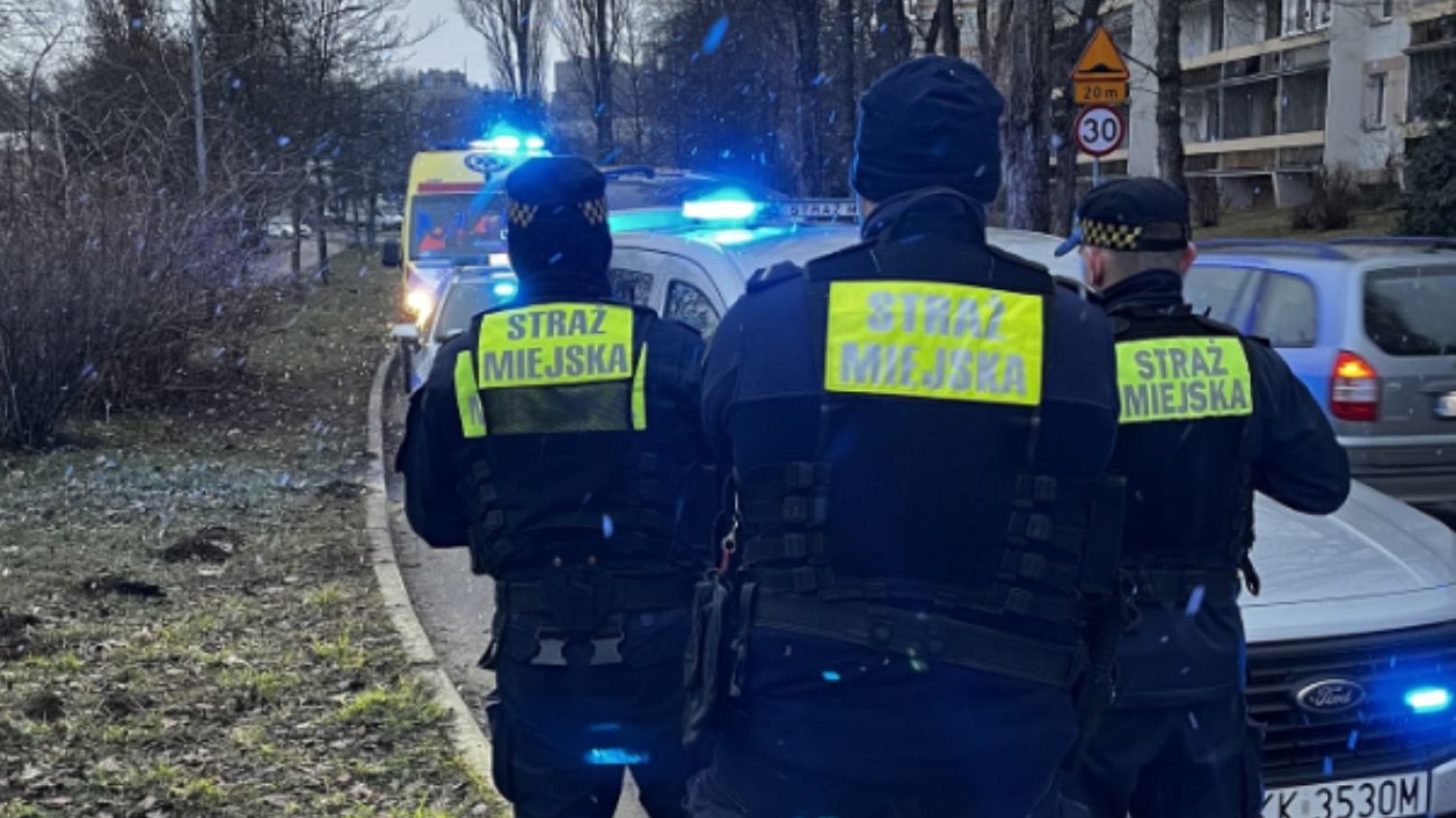 Pies zaatakował 11-latkę w Krakowie. Opiekunowie byli poszukiwani przez policję. Amstaff zaatakował dziewczynkę w Krakowie. Wcześniej pogryzł innego psa.