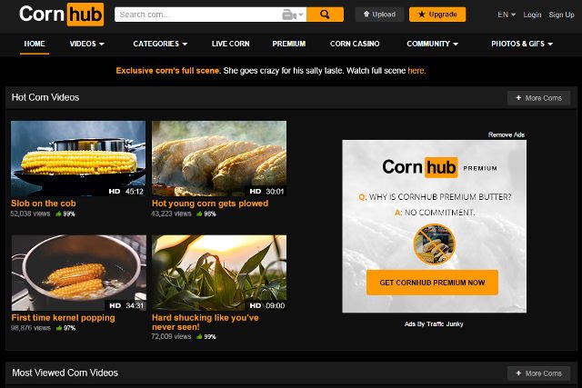 Serwisy internetowe mają naprawdę szeroką ofertę