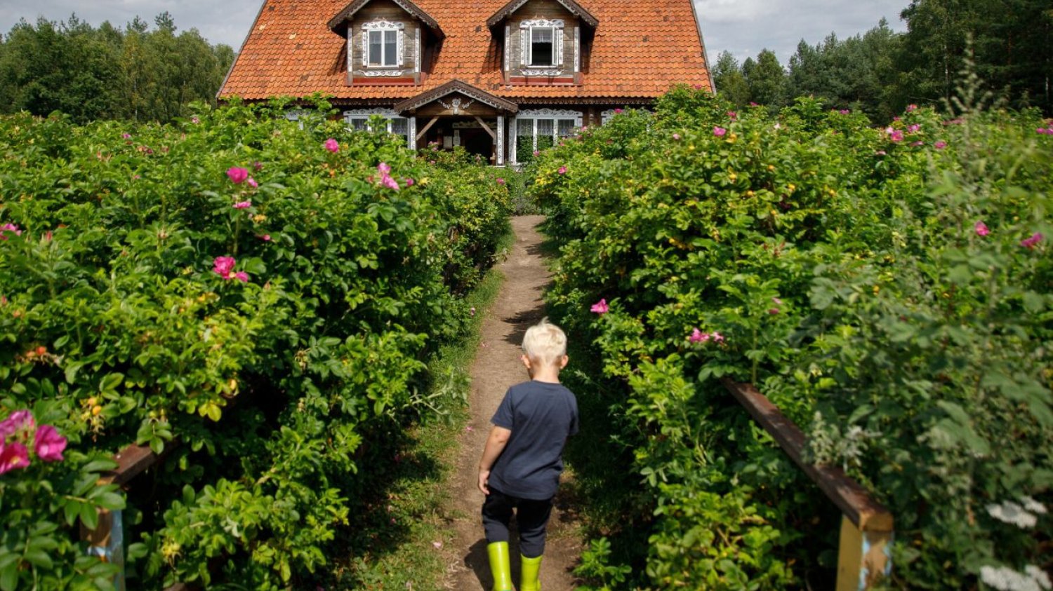 Są nowe zasady bonu turystycznego 2025 Podlaski bon turystyczny na nowych zasadach