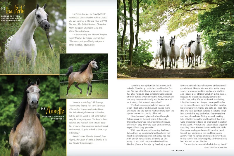 Shirley Watts na łamach prestiżowego magazynu "Arabian Horse World" wspomina, jak cudowna była Polska jeszcze kilka lat temu.