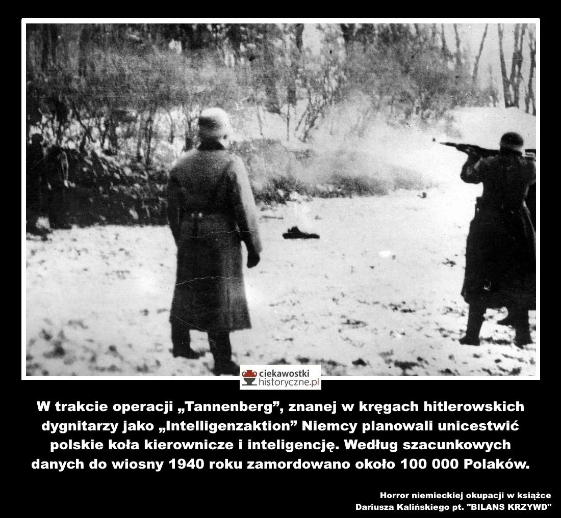 Do wiosny 1940 roku Niemcy zamordowali około 100 tys. Polaków.
