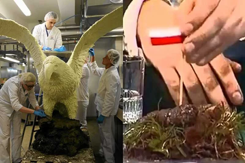 Sąd Najwyższy zdecydował, że TVN musi zapłacić karę za emisję programu Kuby Wojewódzkiego, w którym miniaturki polskiej flagi wetknięto w atrapę psiej kupy
