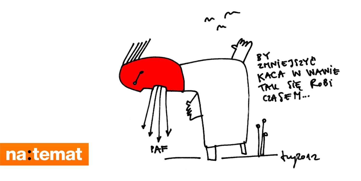 autor: tsy, wroclove 2012