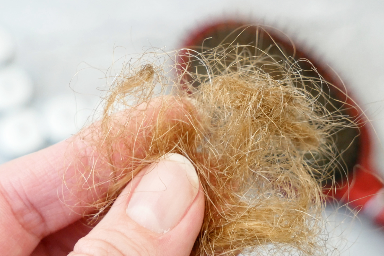 Włosy zaczęły wypadać ci na wiosnę garściami nie bez powodu. Uratujesz je pod jednym warunkiem Włosy zaczęły wypadać ci na wiosnę garściami nie bez powodu. Uratujesz je pod jednym warunkiem
