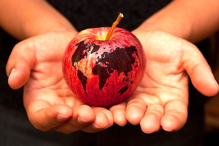 Dieta planetarna: co to jest? Jadłospis, przepisy, video [DZIEŃ ZIEMI 2021]