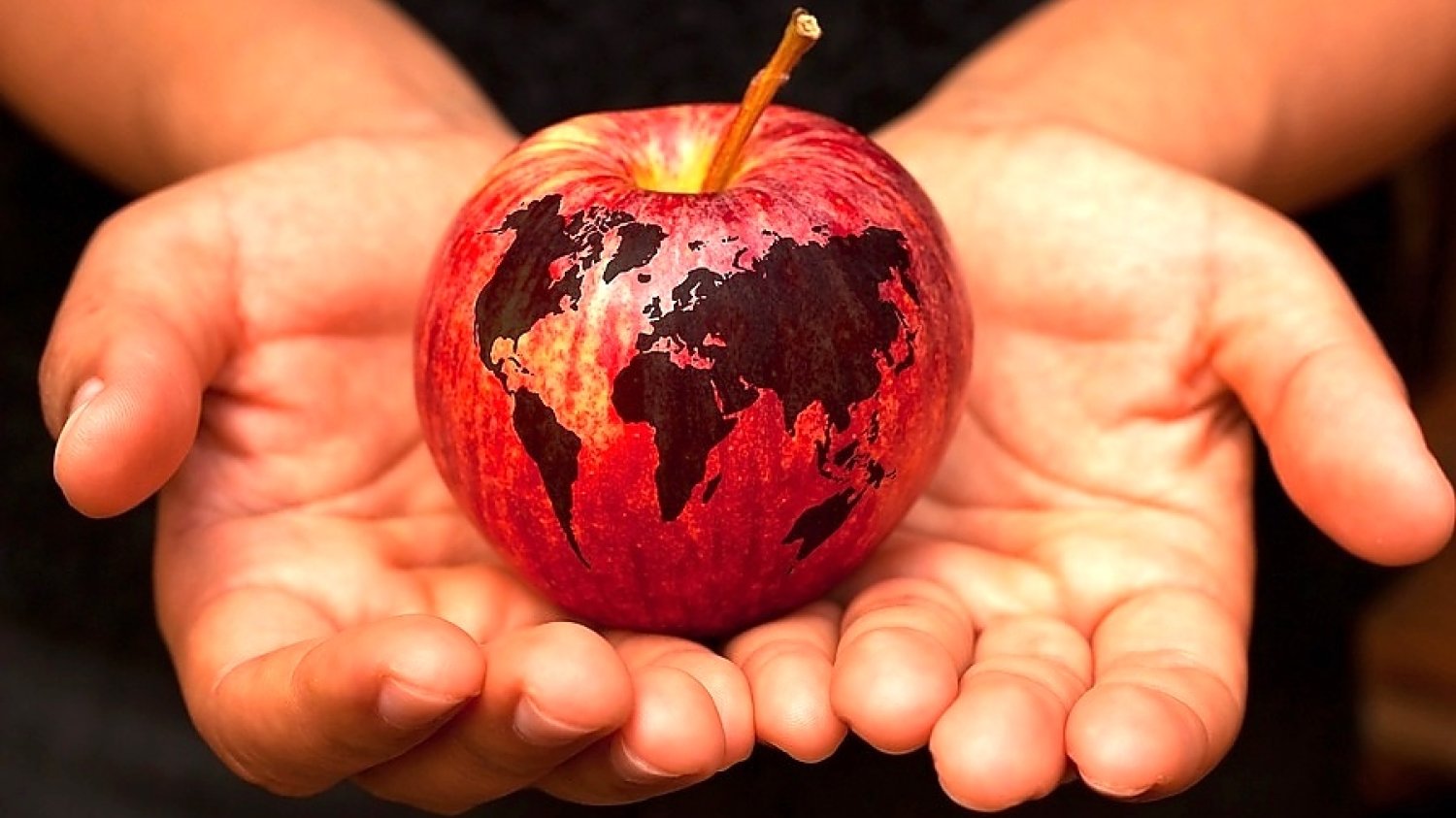 Dieta planetarna: co to jest? Jadłospis, przepisy, video [DZIEŃ ZIEMI 2021]
