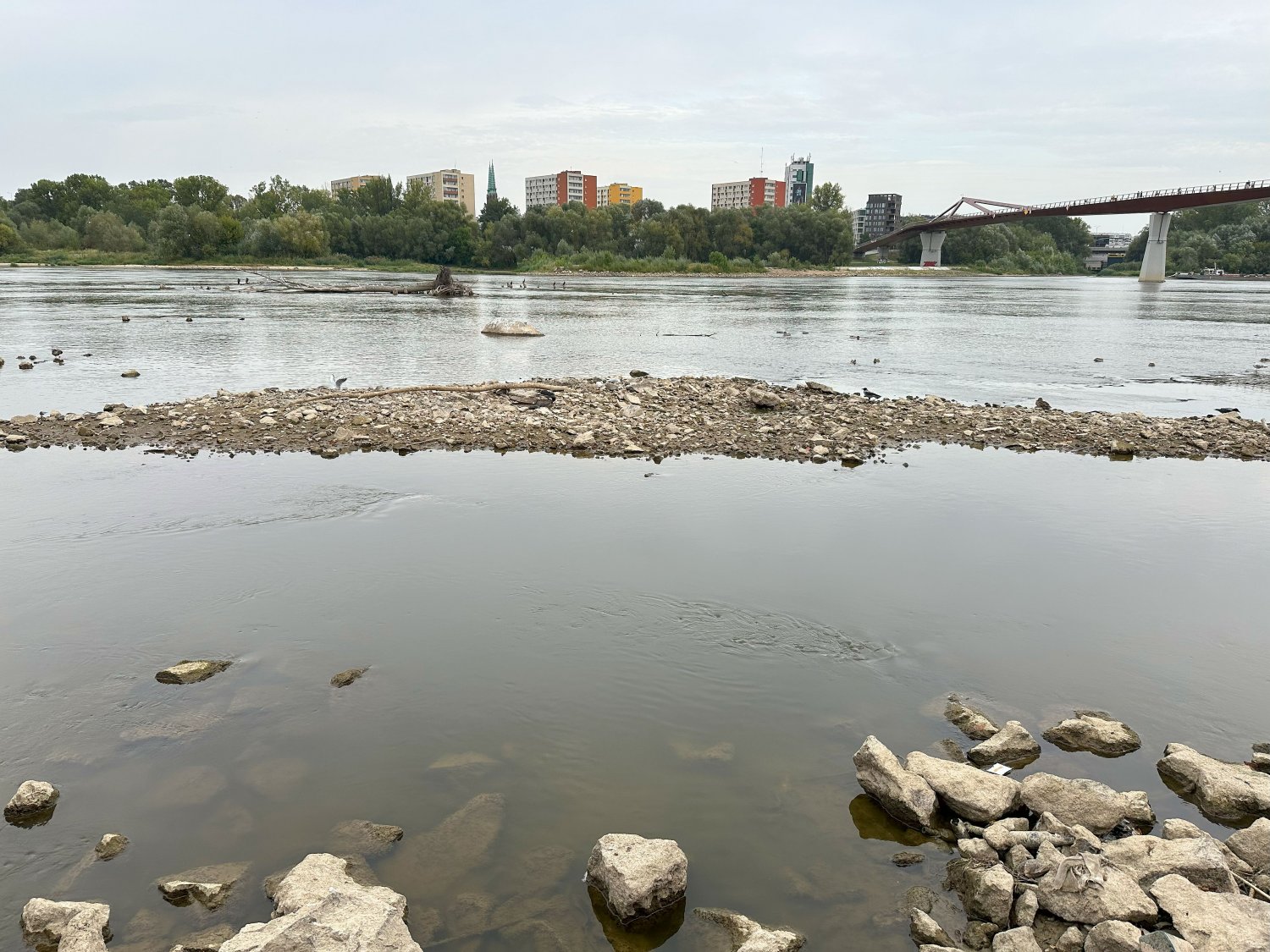 Wisła przy stołecznych bulwarach ma zaledwie 20 cm głębokości