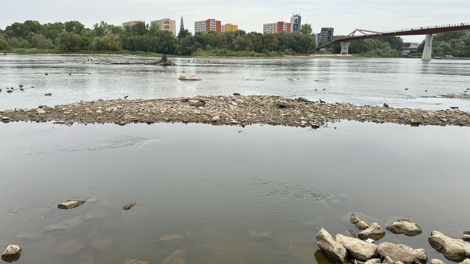 Wisła przy stołecznych bulwarach ma zaledwie 20 cm głębokości