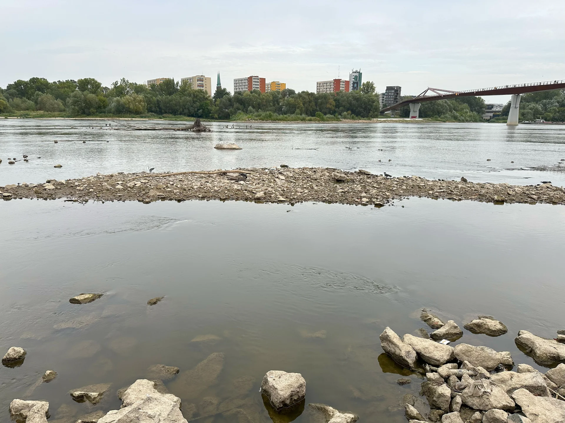 Wisła przy stołecznych bulwarach ma zaledwie 20 cm głębokości