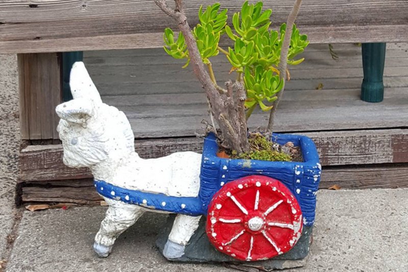 W internecie popularność zdobywają konta publikujące tzw. brzydkie zdjęcia