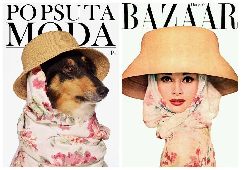 Nowe wcielenie Audrey?
