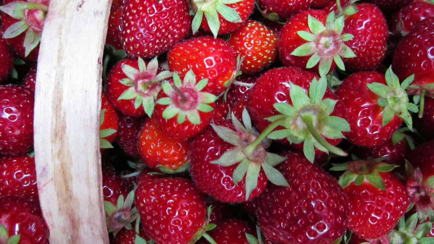 Ile zapłacimy za polskie truskawki? Gorszego scenariusza nie chcesz znać