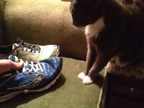 sprawdzone starocie czy niepewne nówki? I tak będzie źle...