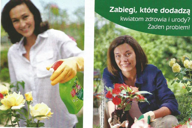 Wiele produktów musi zniknąc z rynku dla amatorów, zastępują je słabsze i mniej wydajne, ale mocno reklamowane.