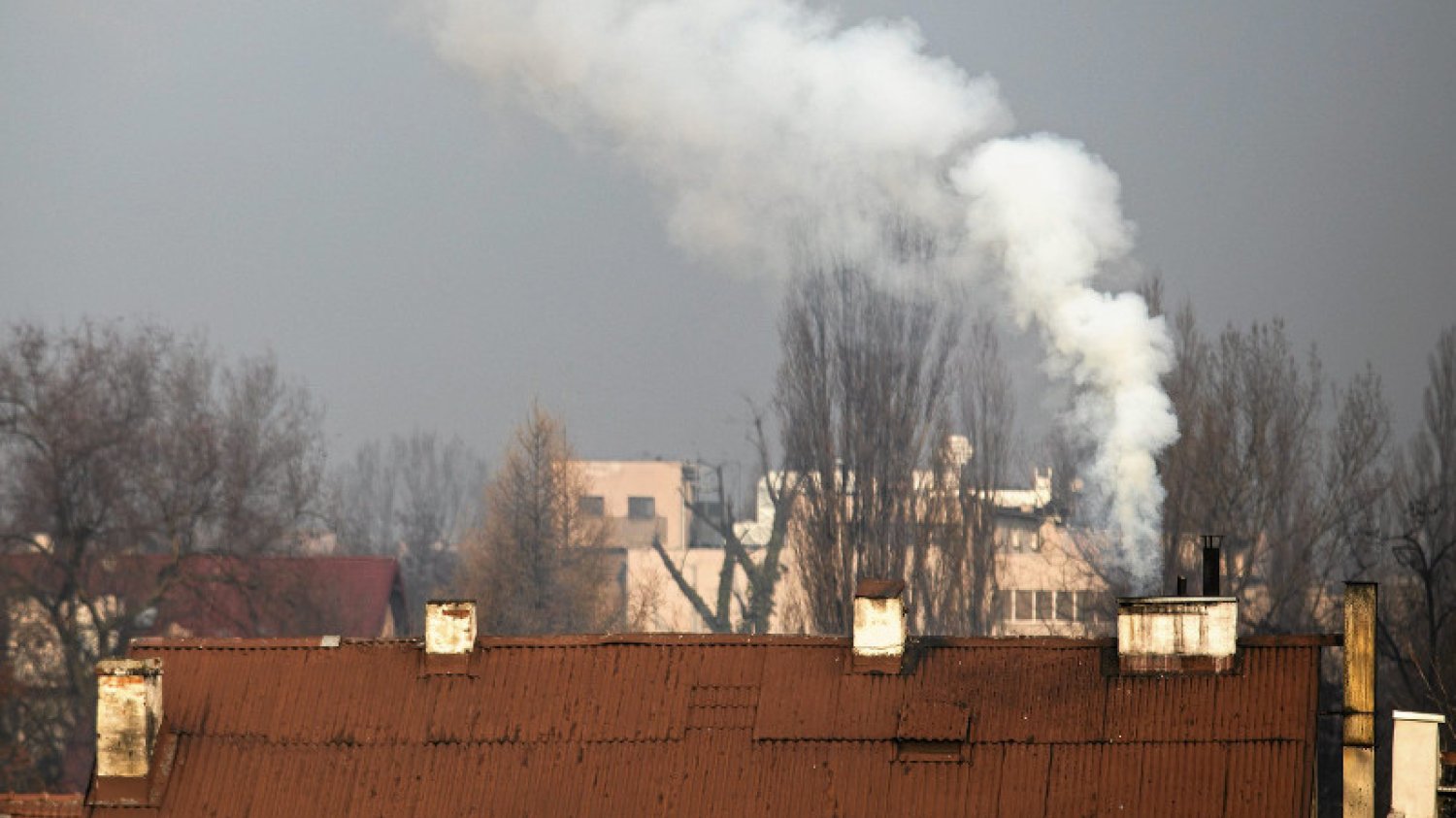 O czystość powietrza musimy dbać wszyscy.