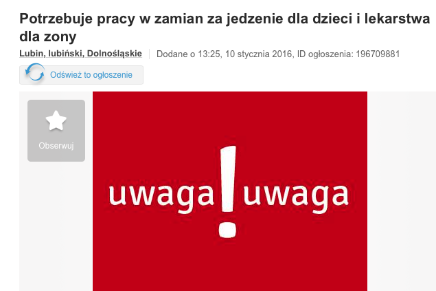 Zaapelował o pracę, znalazł ją szybciej niż myślał, dzięki pomocy użytkowników Wykopu