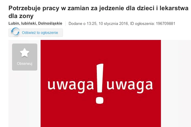 Zaapelował o pracę, znalazł ją szybciej niż myślał, dzięki pomocy użytkowników Wykopu