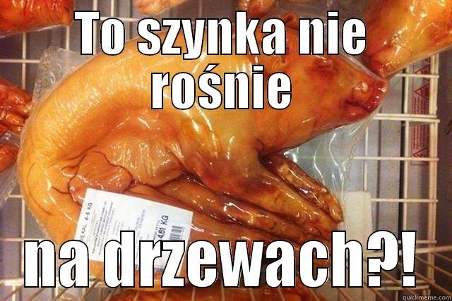 "Małe pyszne prosiaczki" z Makro nie oburzają tak bardzo?