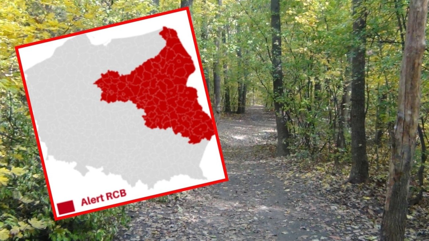 Alert RCB