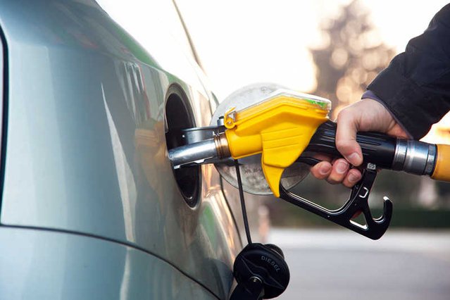 tanie paliwa z alg rozpalają wyobraźnię kierowców i inwestorów