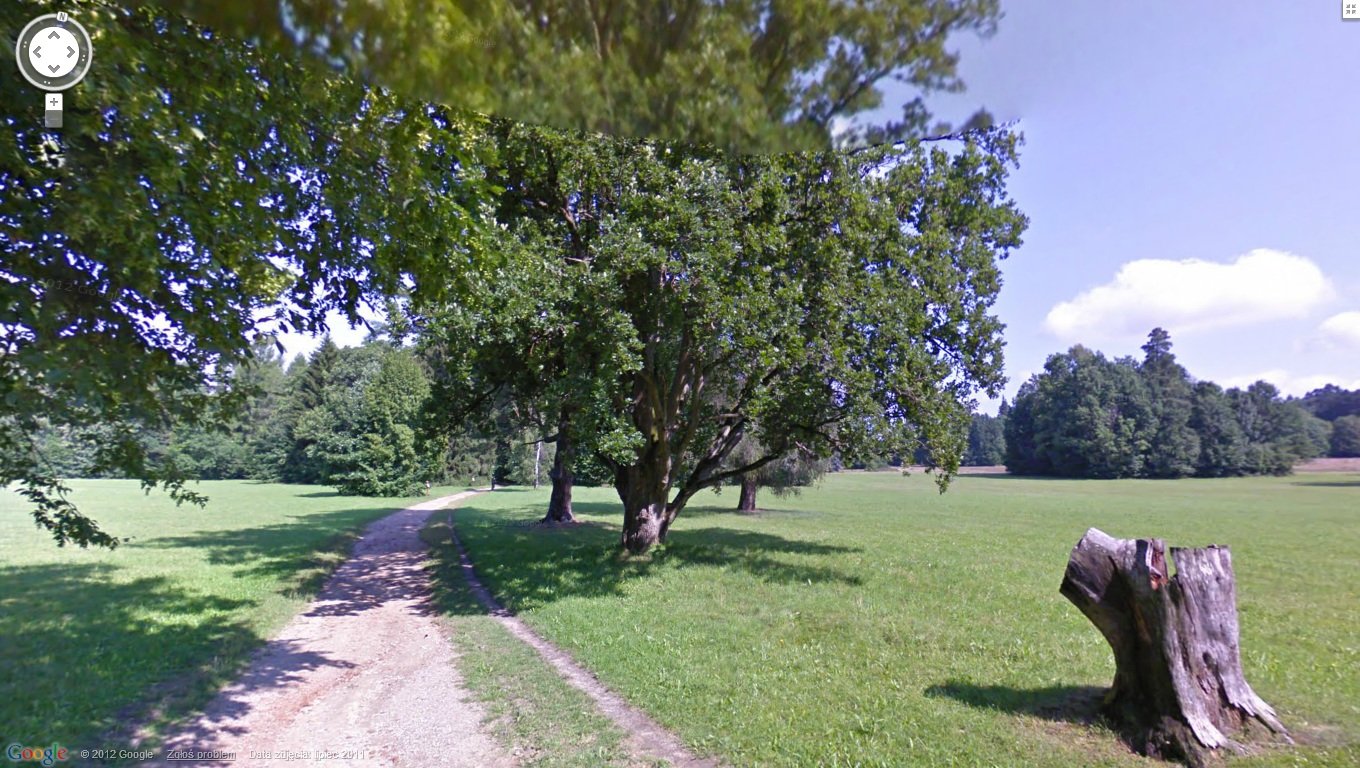 Park Białowieski