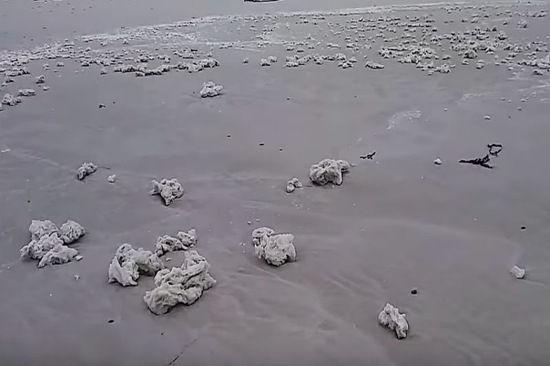 Podobne białe bryły Bałtyk wyrzucił dwa lata temu.