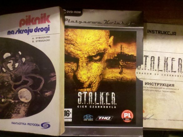 Piknik na skraju drogi, S.T.A.L.K.E.R.