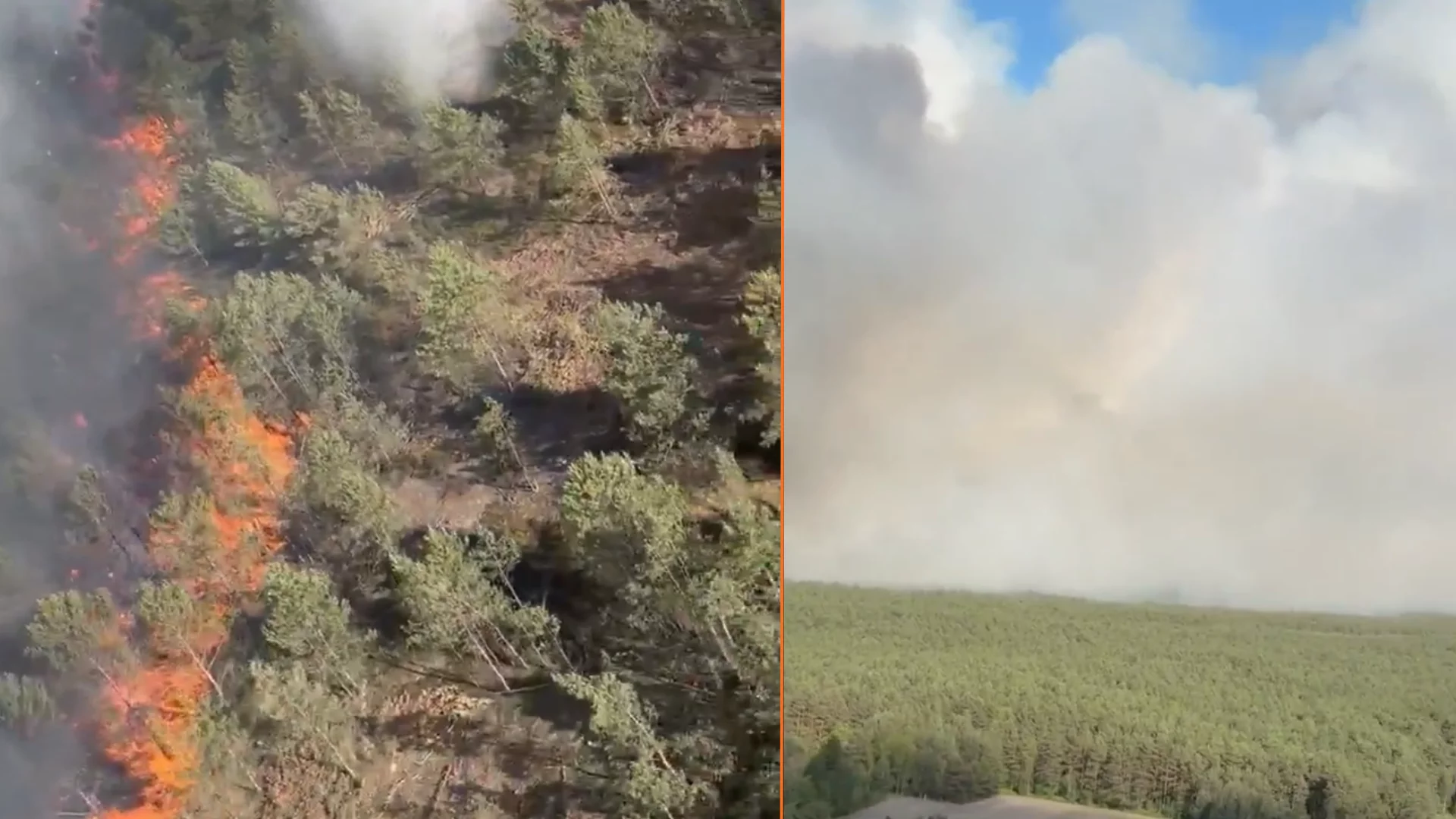 Black Hawk i Dromadery walczą z ogniem. Pożar hektarów lasu pod Warszawą Zdjęcia pożaru w powiecie wołomińskim.