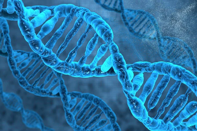 Podwójna elipsa DNA - tu zapisane jest wszystko, co dotyczy nie tylko naszego koloru oczu czy wzrostu, ale i predyspozycji do chorób czy starzenia się