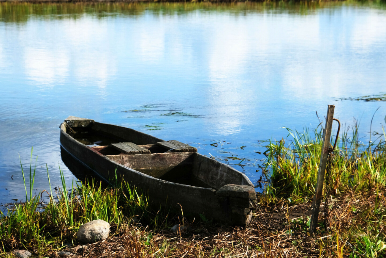 Widok nad Biebrzą na Podlasiu