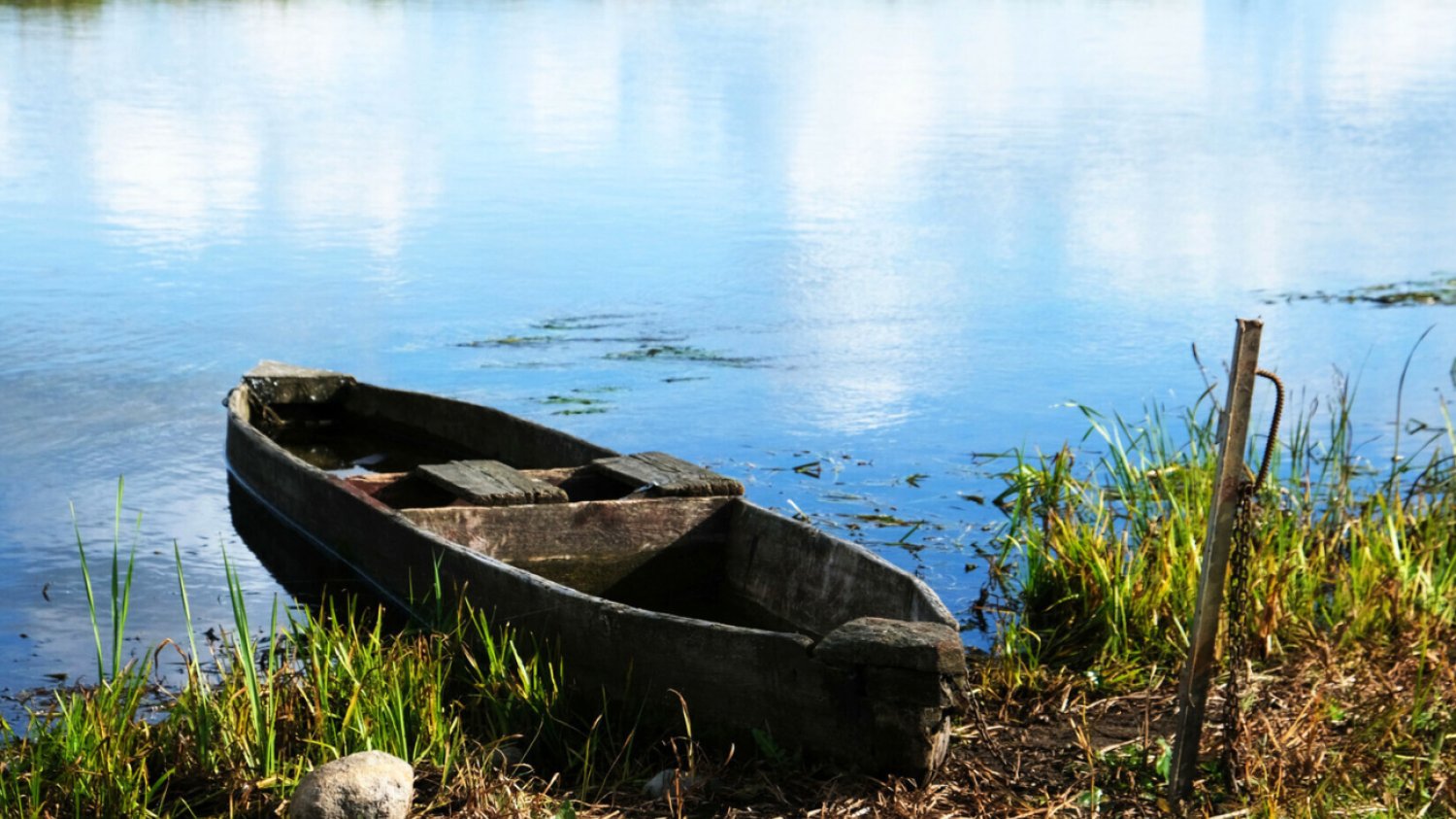Podlaski Bon Turystyczny Widok nad Biebrzą na Podlasiu