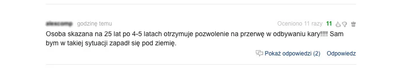 Komentarze internautów.