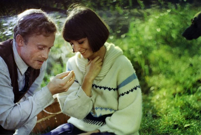 polskie filmy nominowane do Oscara: Panny z Wilka Panny z Wilka
